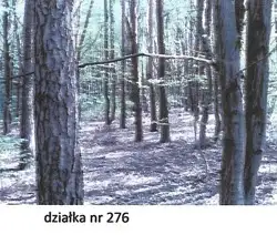 Grunty Krasnystaw — zdjęcie 1