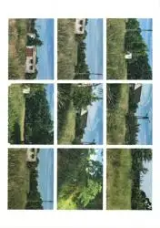 Zdjęcie 1