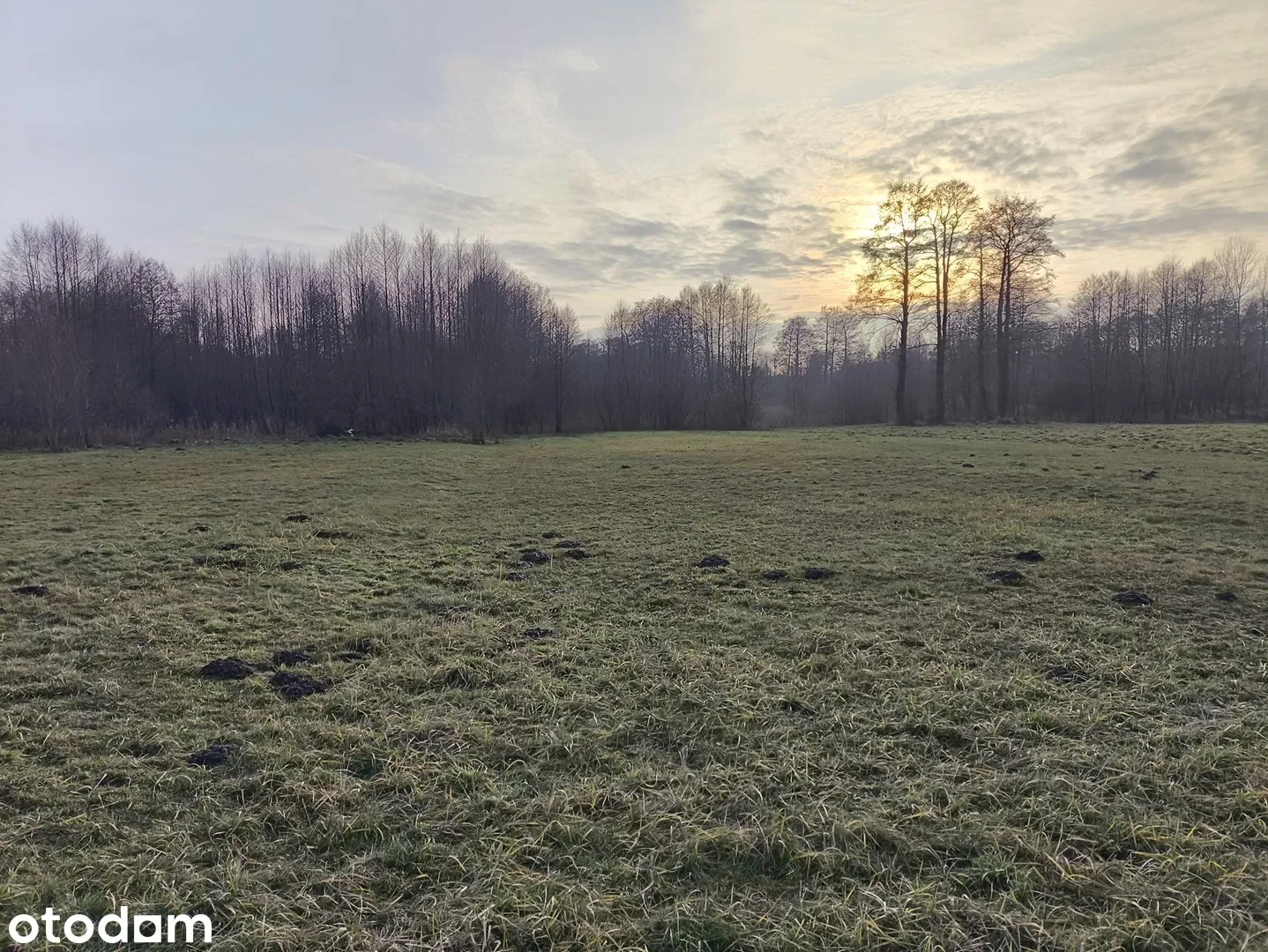 Działki Zgierz — zdjęcie 9