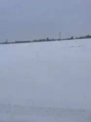 Grunty Opole Lubelskie — zdjęcie 1