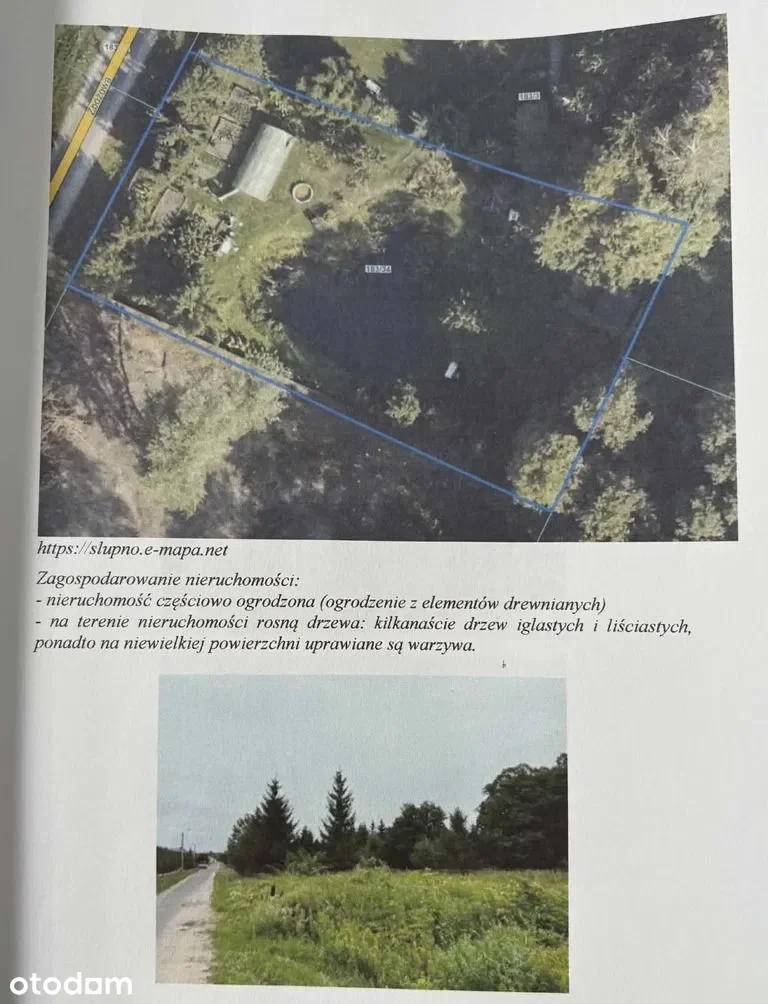 Działki Słupno — zdjęcie 3