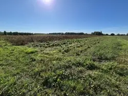 Grunty Grójec — zdjęcie 1