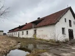 Zdjęcie 1