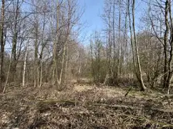 Grunty Dynów — zdjęcie 1