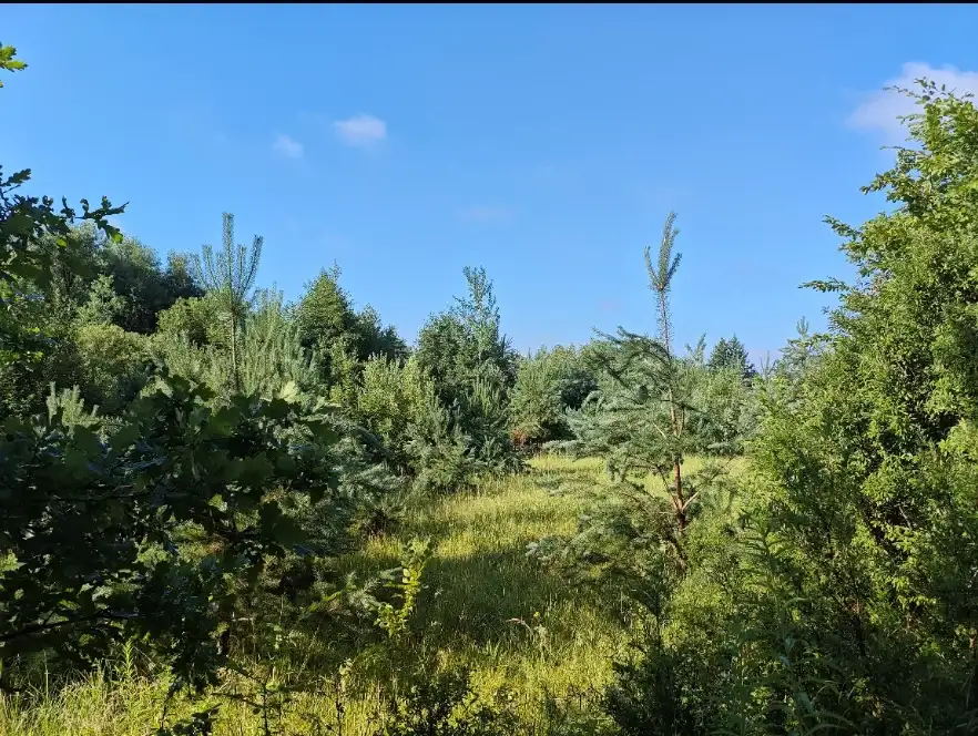 Działki Kochlice — zdjęcie 2