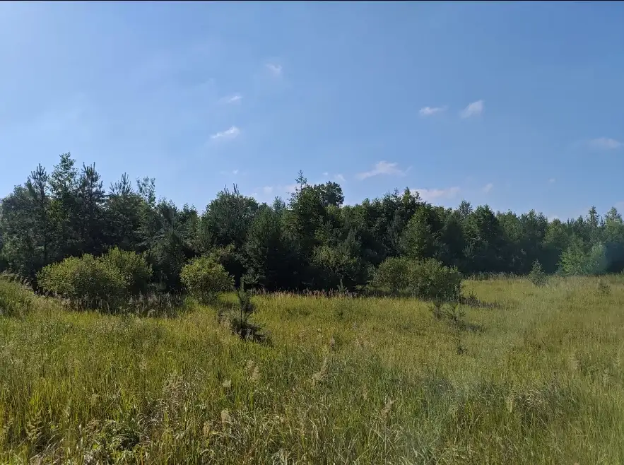 Działki Kochlice — zdjęcie 3