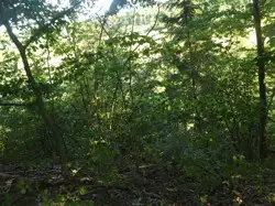 Zdjęcie 1