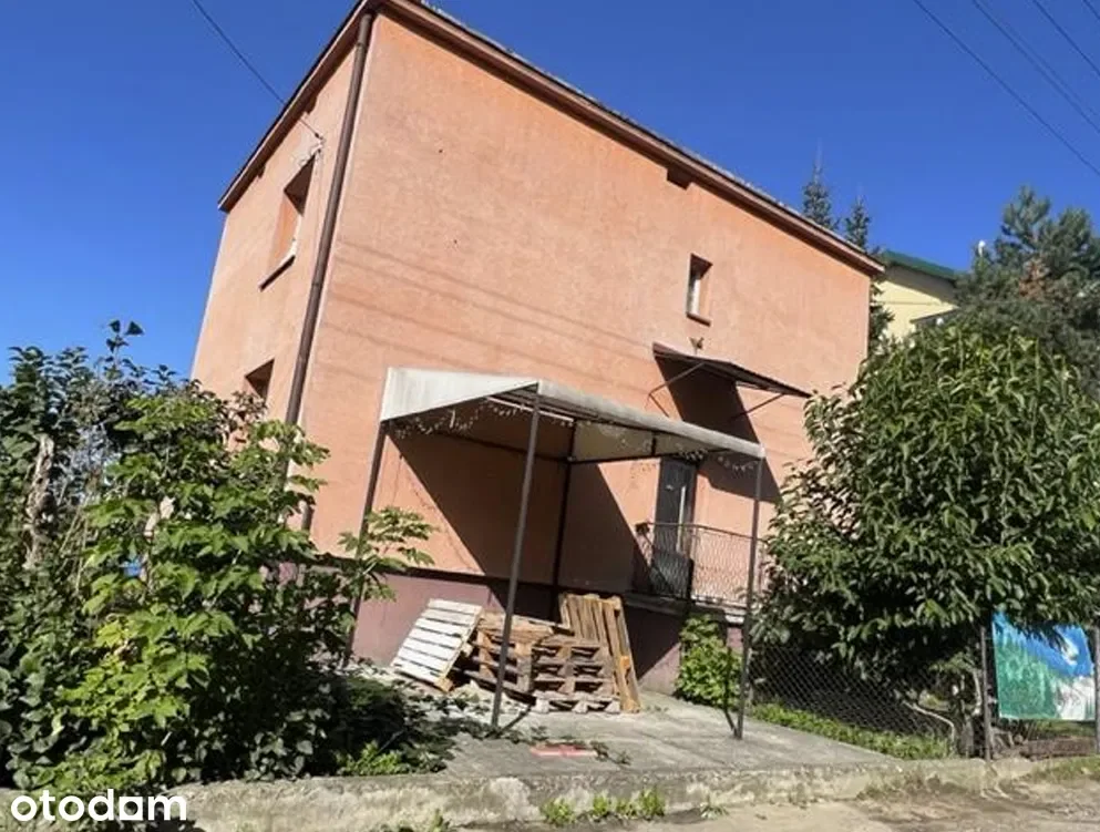 Zdjęcie 1