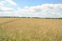 Zdjęcie 1