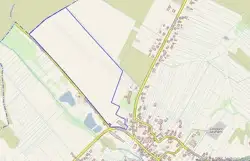 Grunty Rybnik — zdjęcie 1