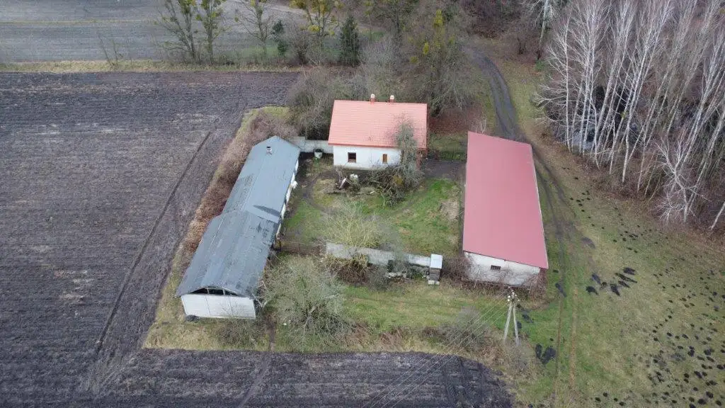 Domy Lisków — zdjęcie 3