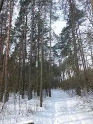 Grunty Bielsk Podlaski — zdjęcie 1
