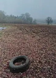 Grunty Busko-Zdrój — zdjęcie 1
