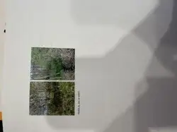 Zdjęcie 1