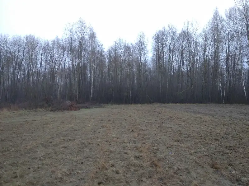 Grunty Krasówka — zdjęcie 3