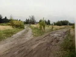 Zdjęcie 1
