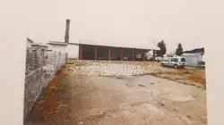 Grunty Ryki — zdjęcie 1