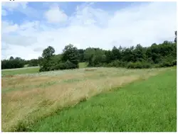Zdjęcie 1