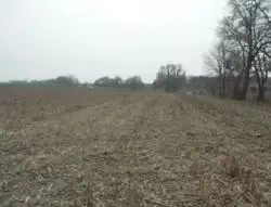 Grunty Nowy Klukom — zdjęcie 1