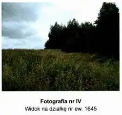 Grunty Brzozów — zdjęcie 1