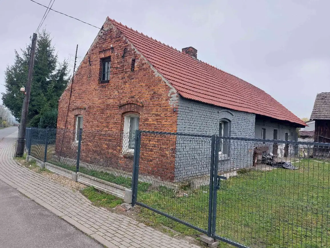 Zdjęcie 1