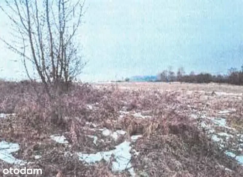 Działki Gilowice — zdjęcie 2