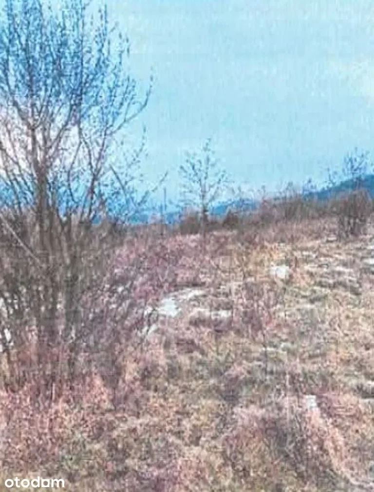 Działki Gilowice — zdjęcie 6
